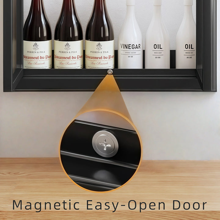 Modern Wall Mounted Spice Cabinet with Adjustable Shelves